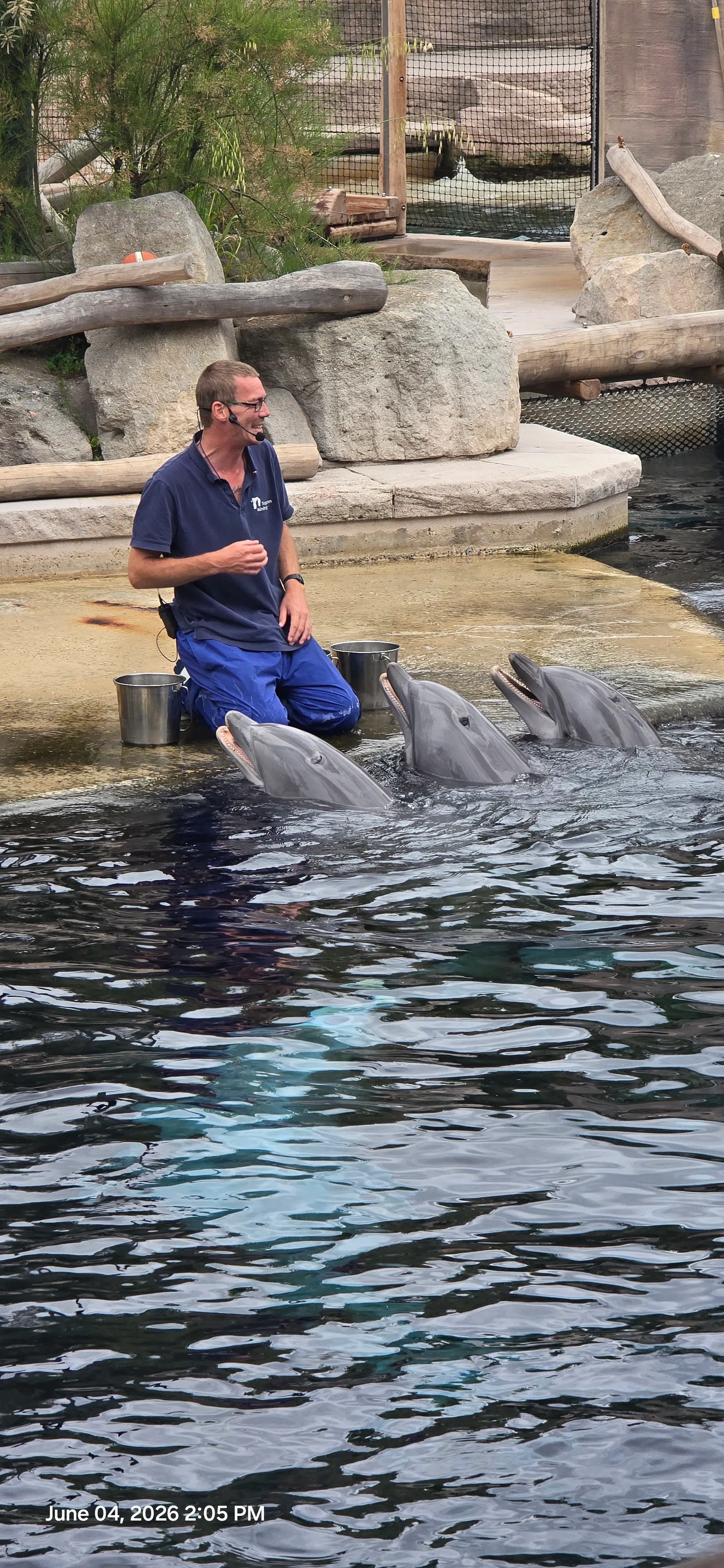 Interior at Dolphinarium in the zoo of Nuremberg Nuremberg — travel photo