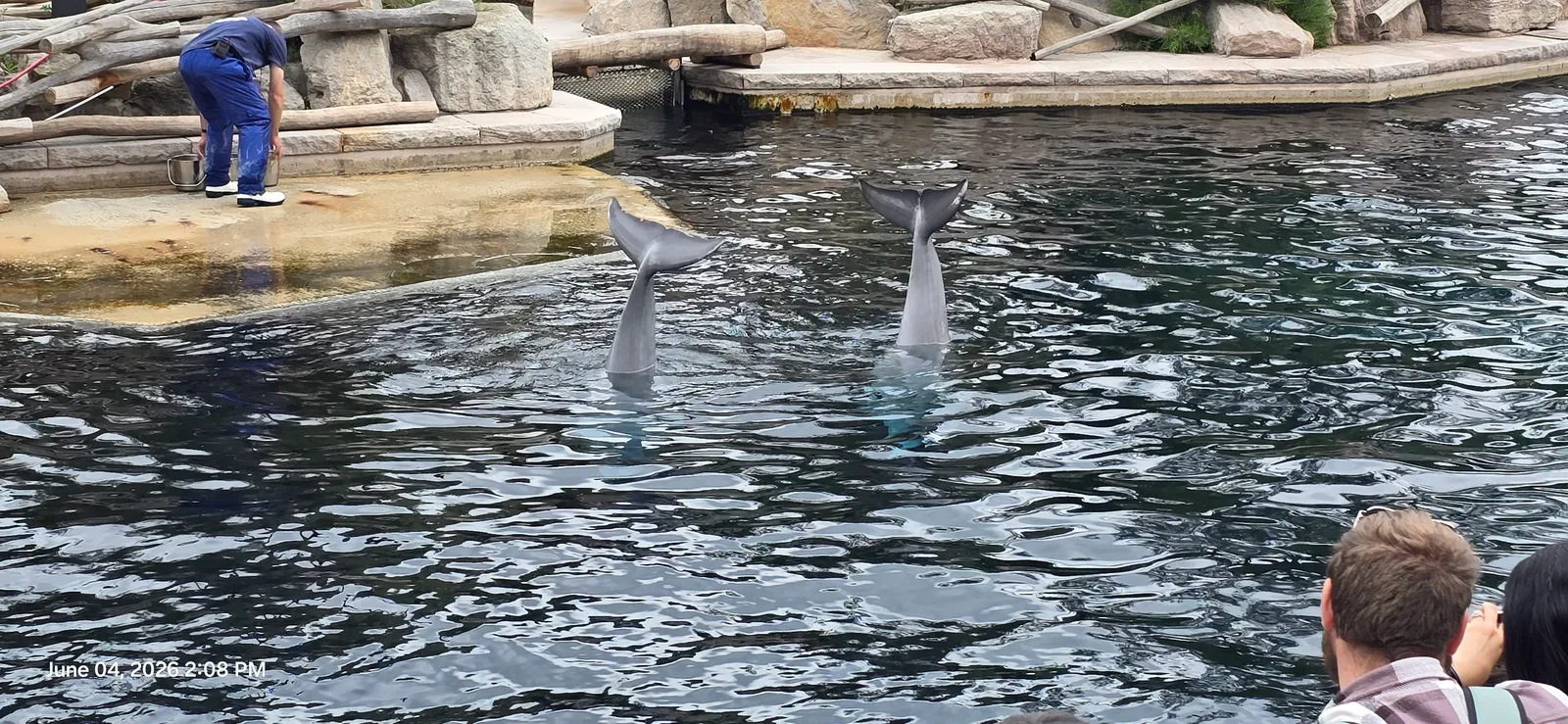 Details at Dolphinarium in the zoo of Nuremberg Nuremberg — travel photo