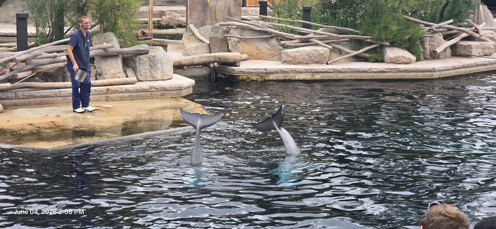 Atmosphere at Dolphinarium in the zoo of Nuremberg Nuremberg — travel photo