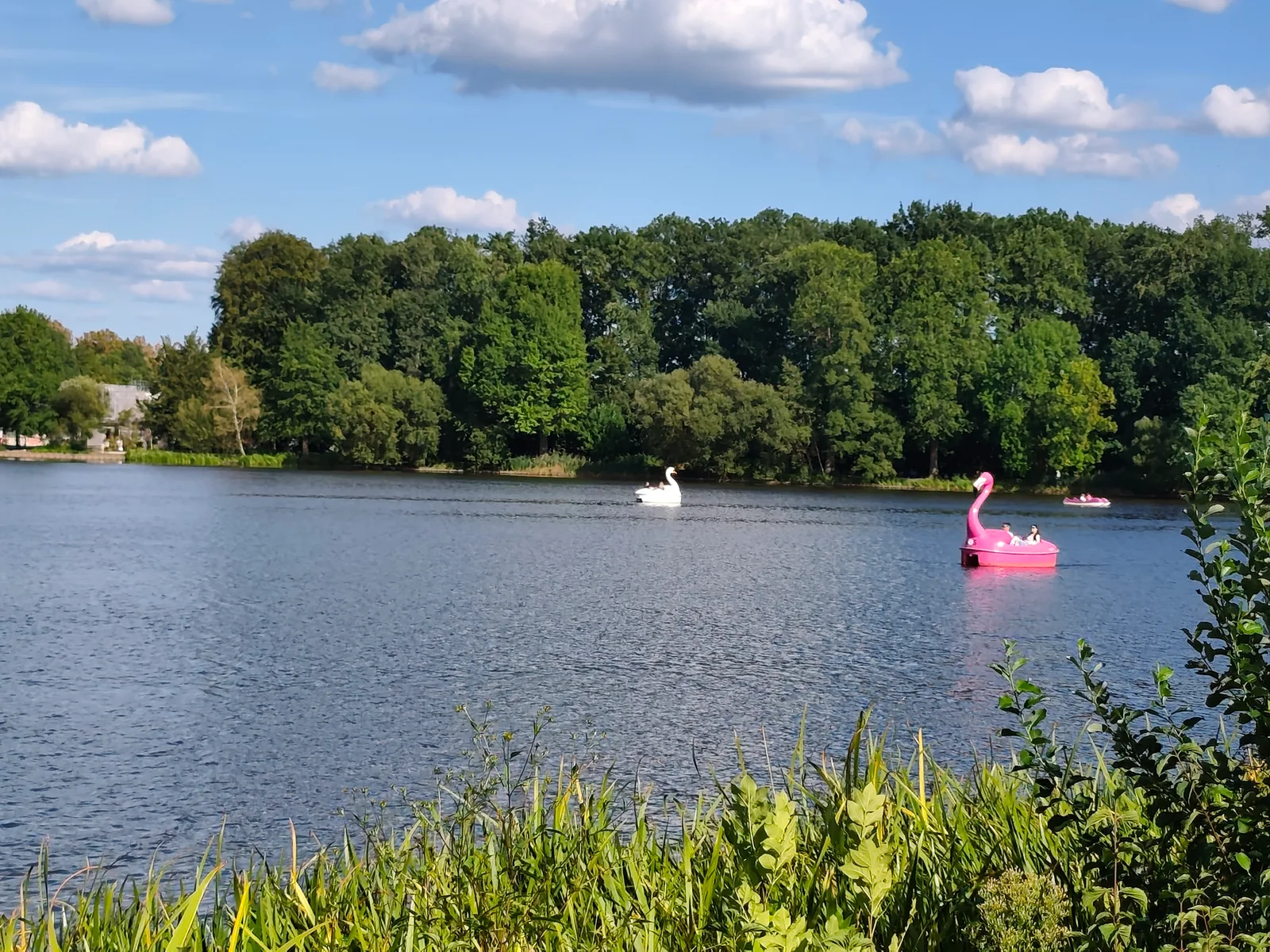 Main view at Dutzendteich Park Nuremberg — travel photo