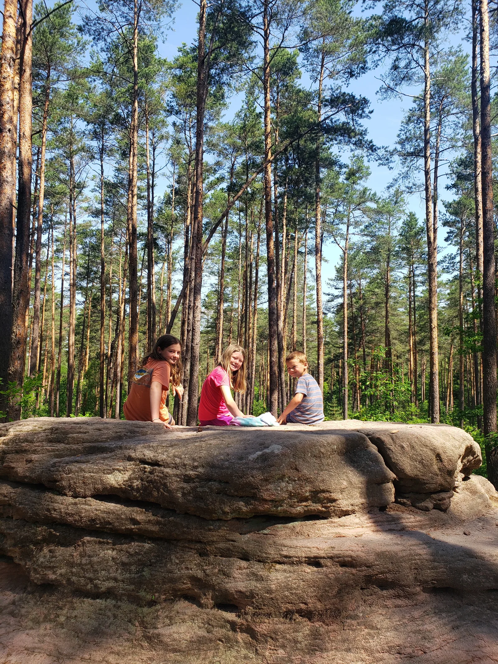 Atmosphere at Forest playground at Steinbrüchlein Nuremberg — travel photo
