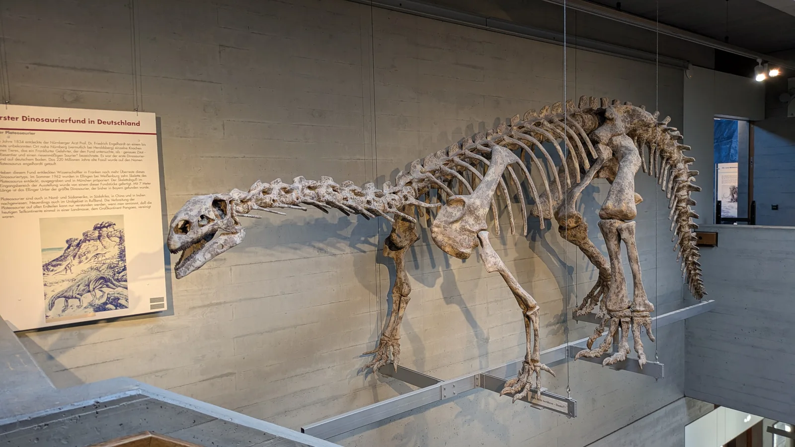 Atmosphere at Natural History Museum Nuremberg — travel photo