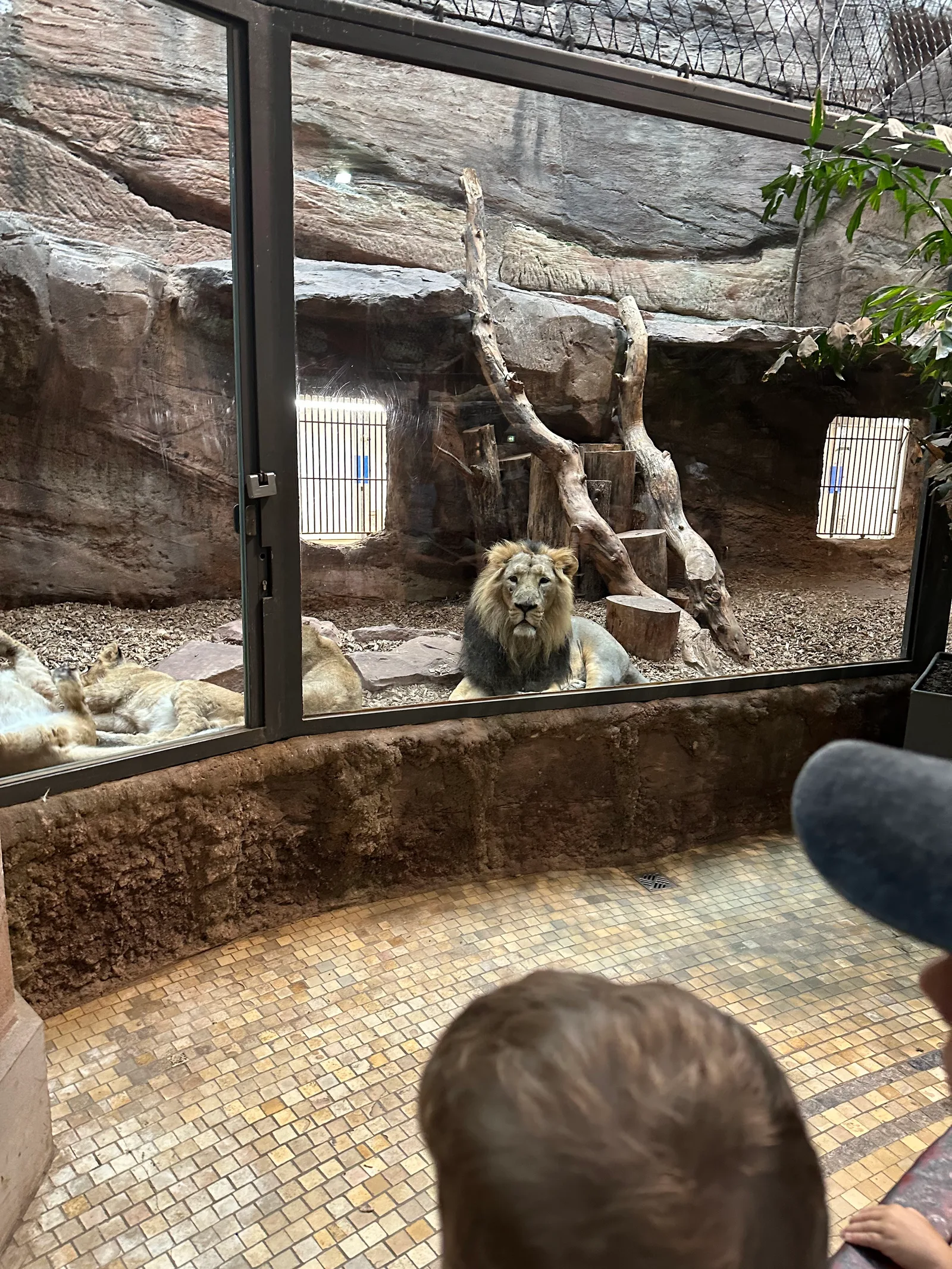 Main view at Nürnberg Zoo Nuremberg — travel photo