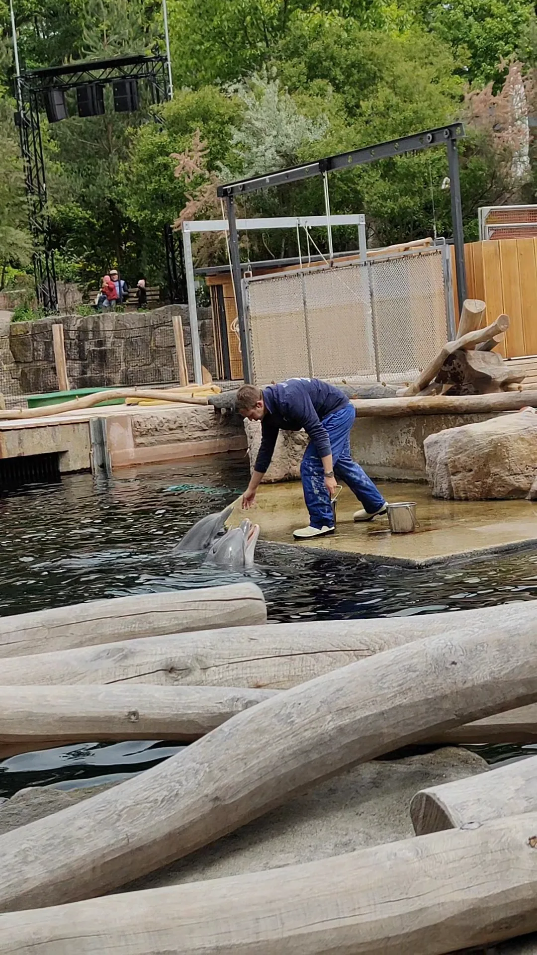 Atmosphere at Nürnberg Zoo Nuremberg — travel photo