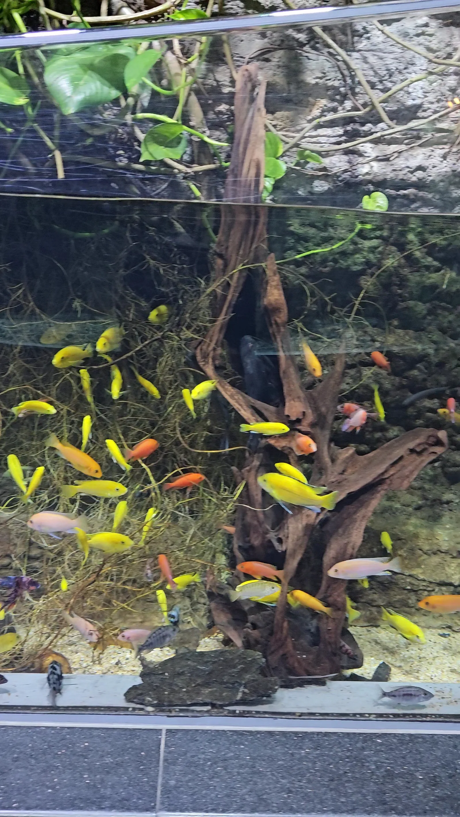 Interior at Outdoor aquarium and -Terrarium Nuremberg — travel photo