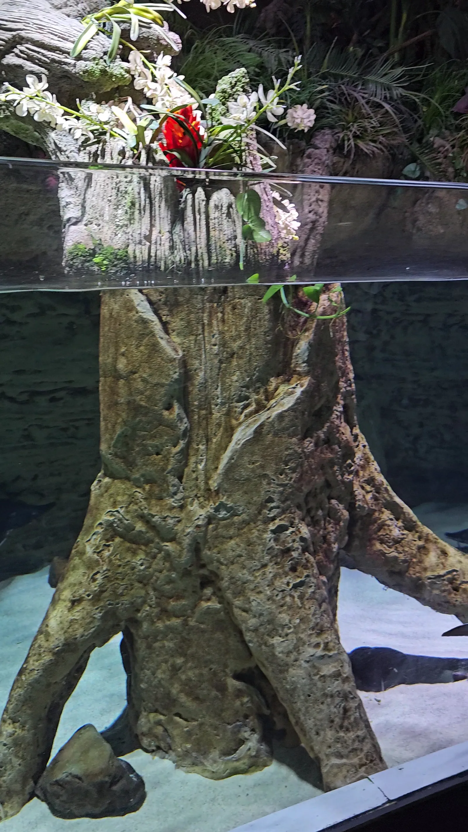 Details at Outdoor aquarium and -Terrarium Nuremberg — travel photo