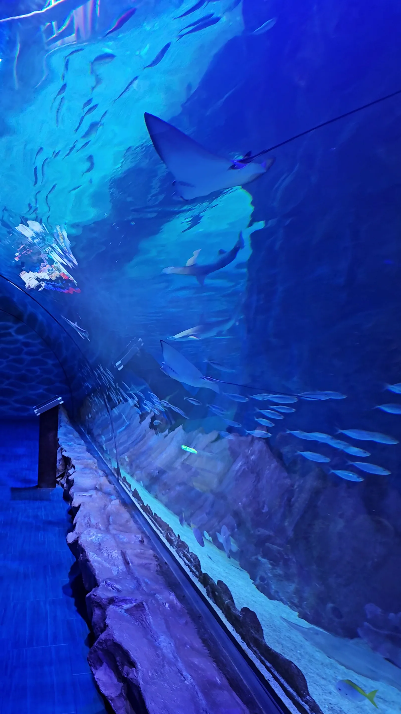 Atmosphere at Outdoor aquarium and -Terrarium Nuremberg — travel photo