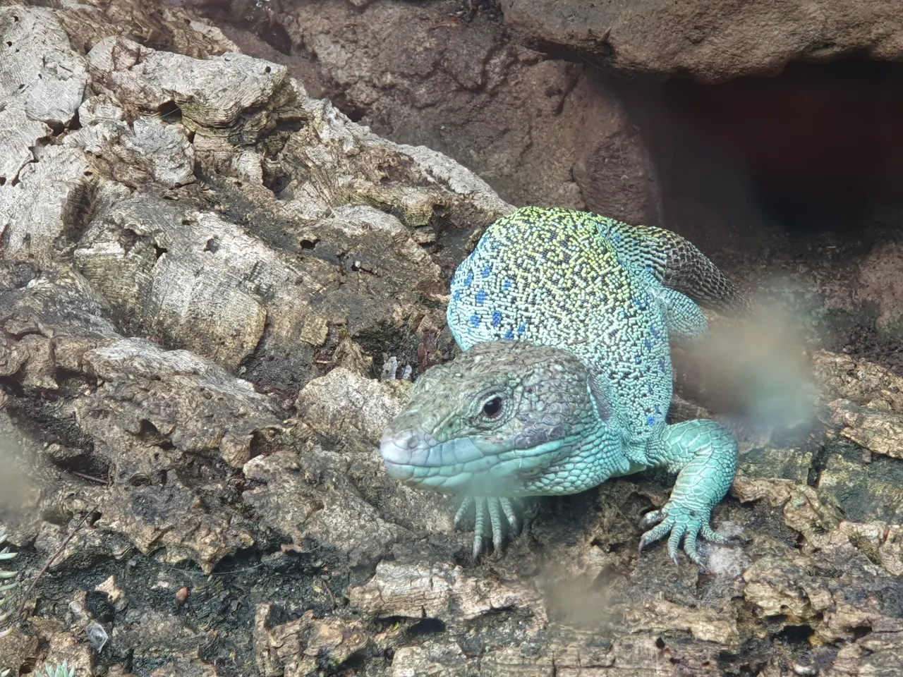 Outdoor aquarium and -Terrarium — family guide Nuremberg