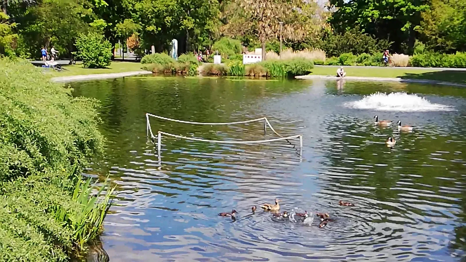 Details at Stadtpark Nuremberg — travel photo