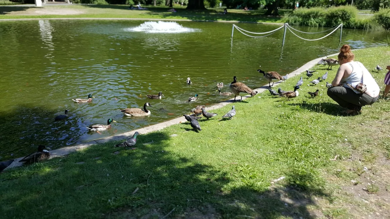 Interior at Stadtpark Nürnberg Nuremberg — travel photo