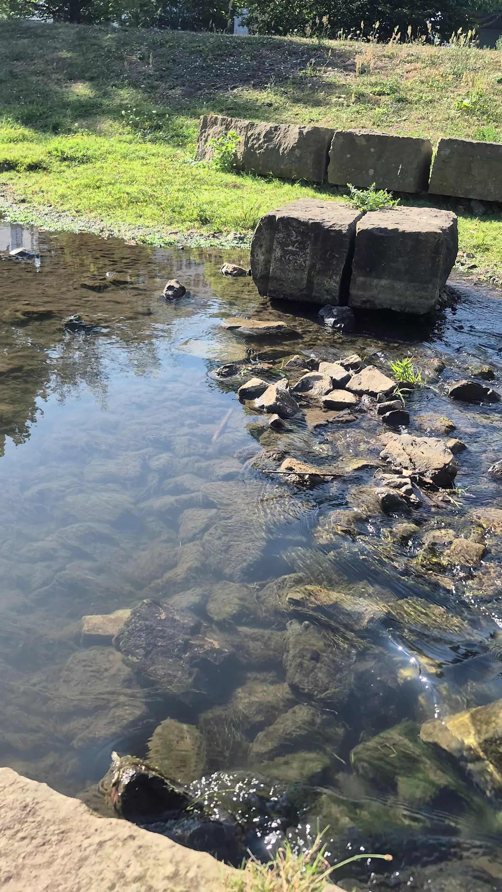 Main view at Tullnau-Park Nuremberg — travel photo