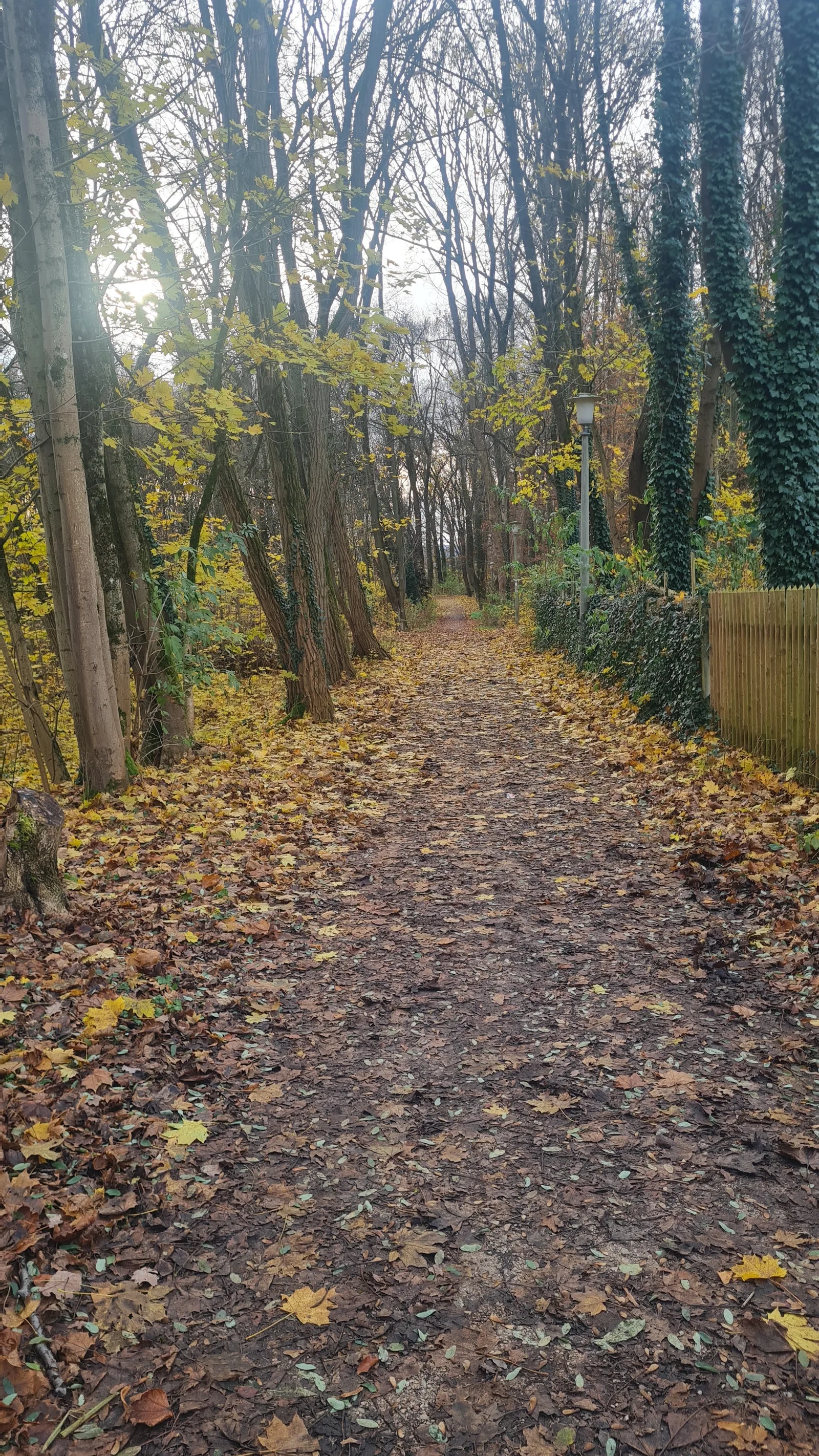 Atmosphere at Vestner Turm Nuremberg — travel photo
