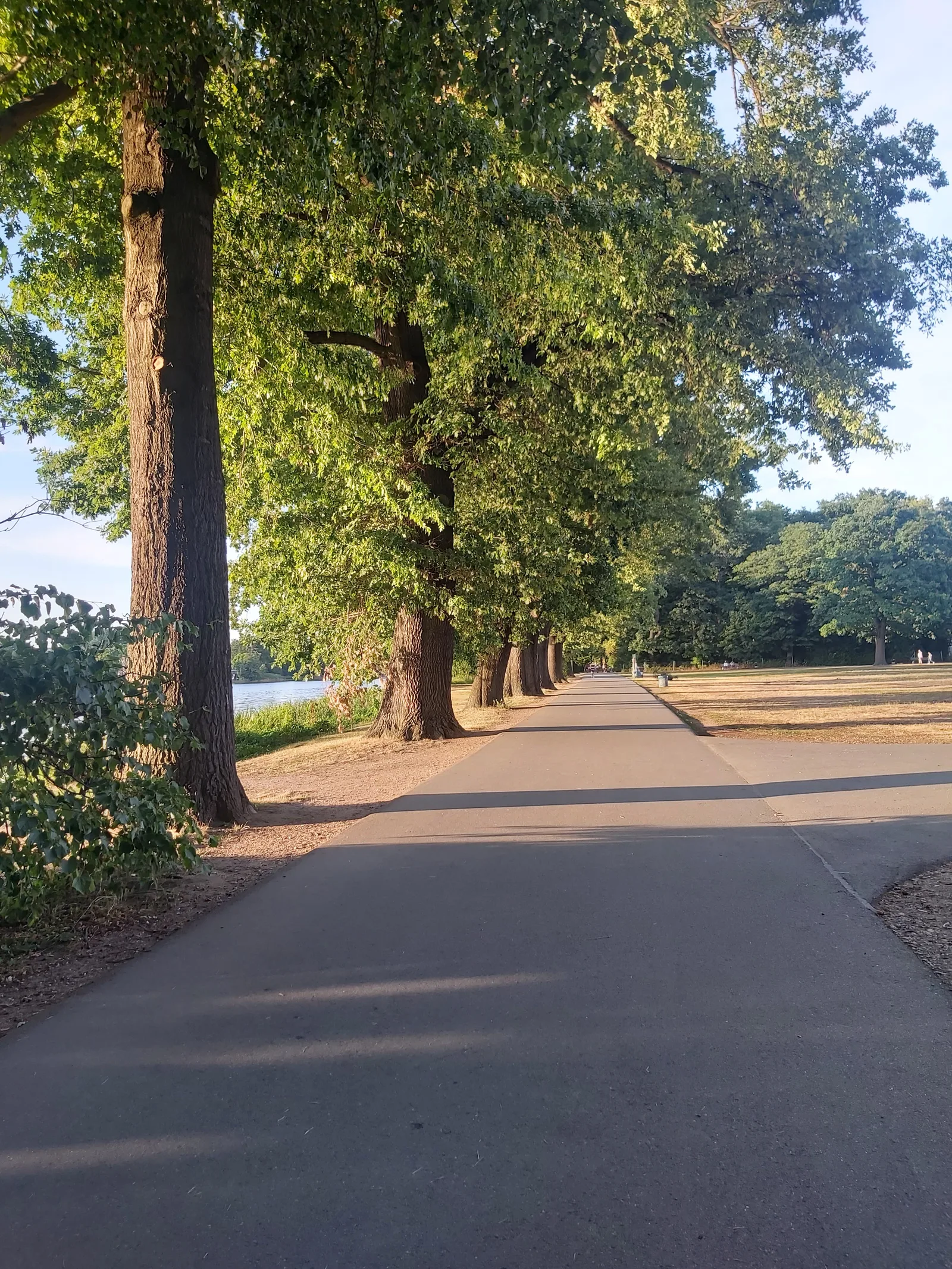 Atmosphere at Volkspark Dutzendteich Nuremberg — travel photo