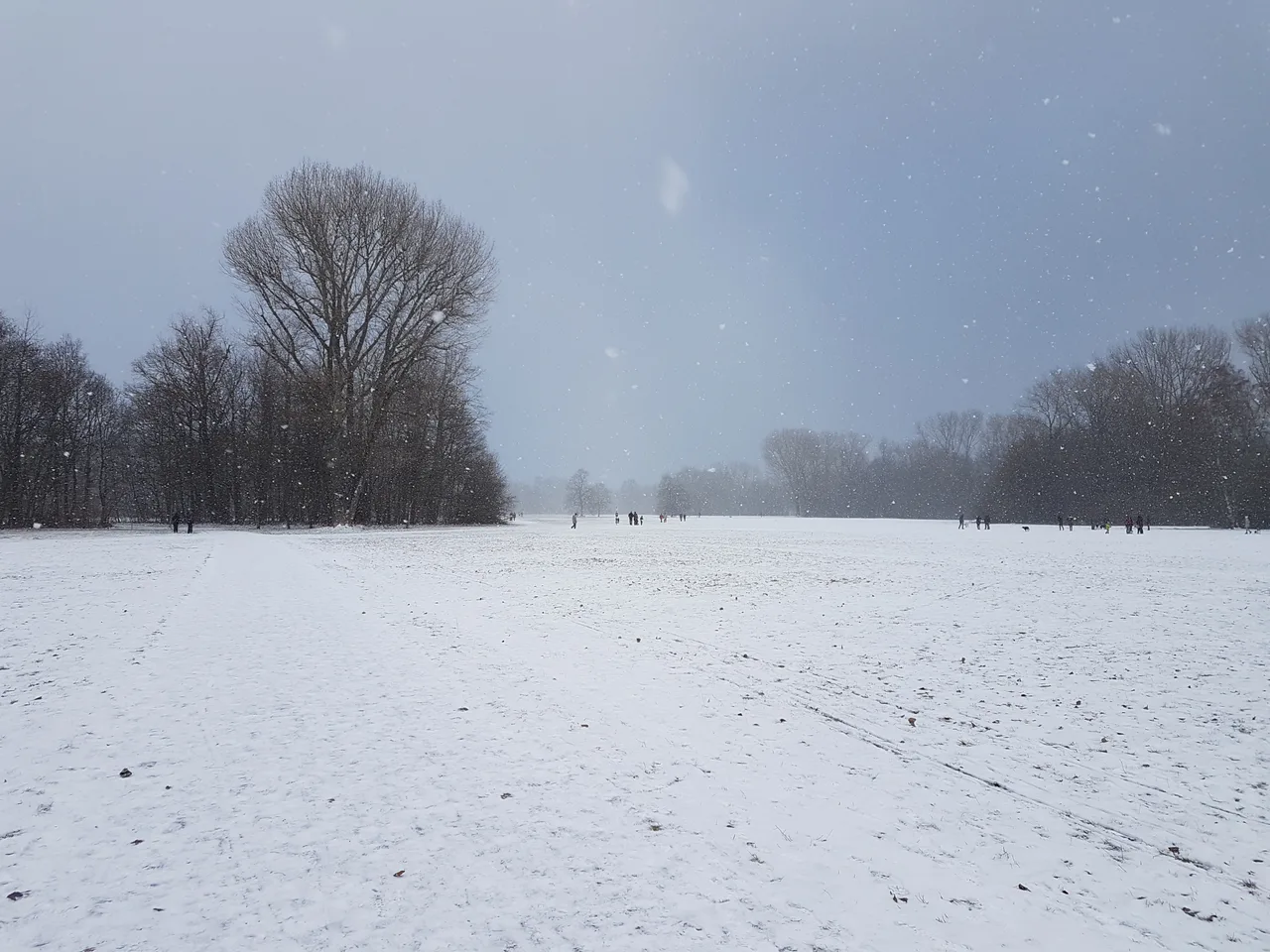 Volkspark Marienberg