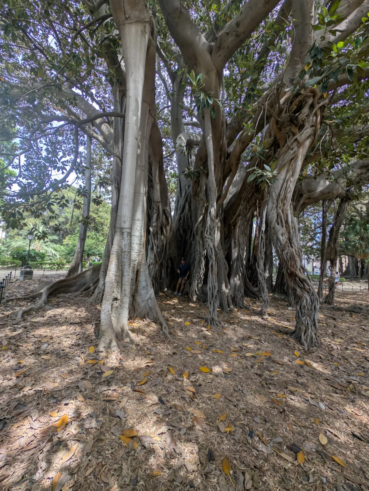 Main view at Giardino Garibaldi Palermo — travel photo