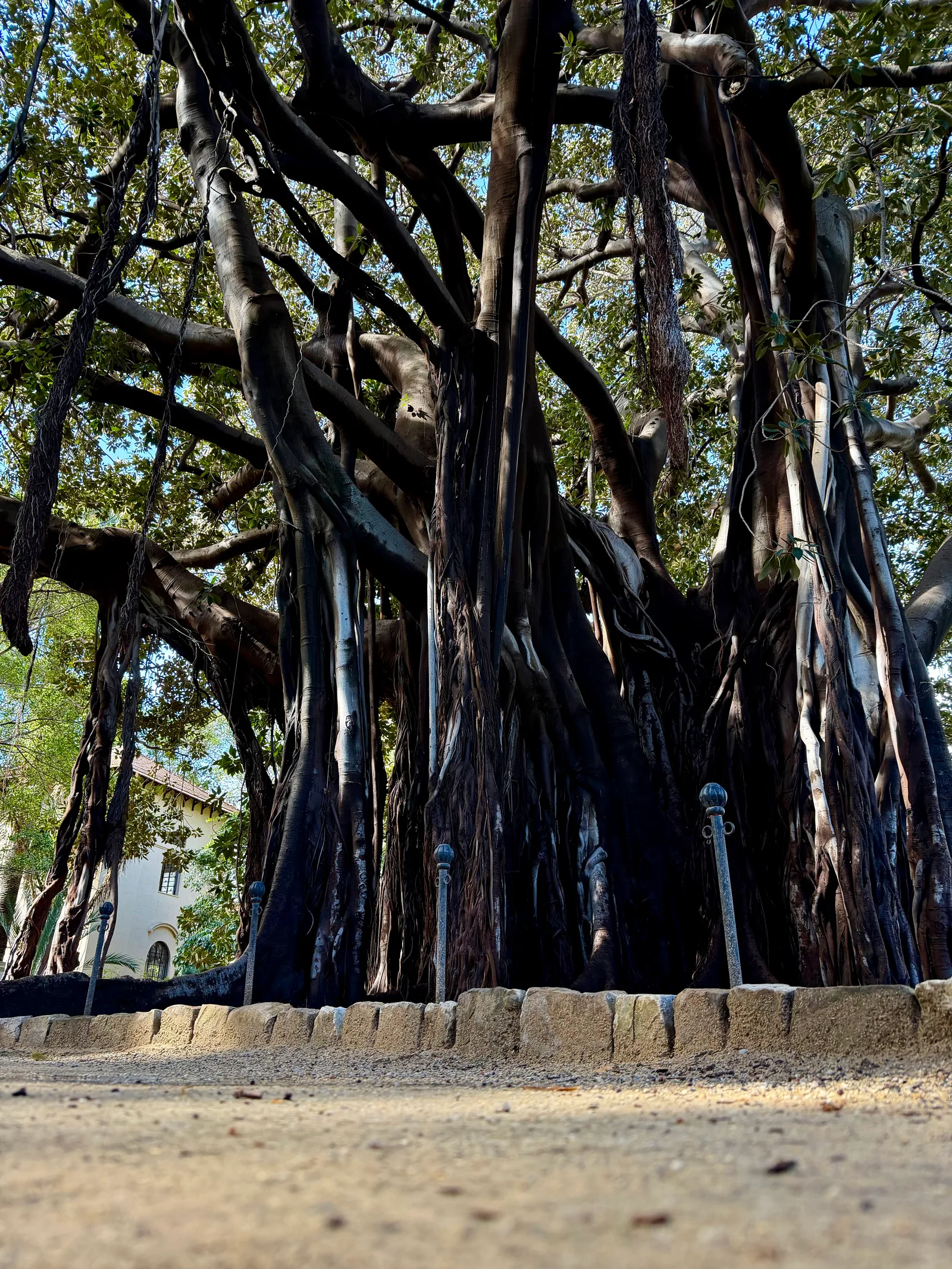Atmosphere at Giardino Garibaldi Palermo — travel photo