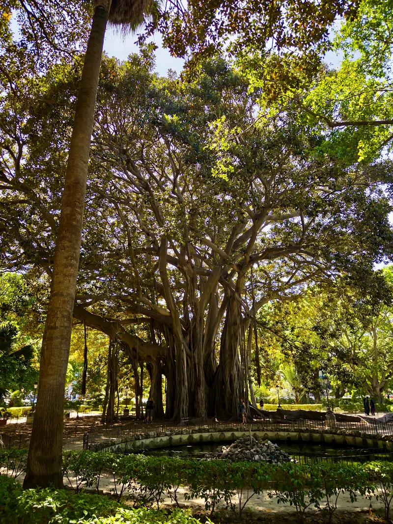 Giardino Garibaldi