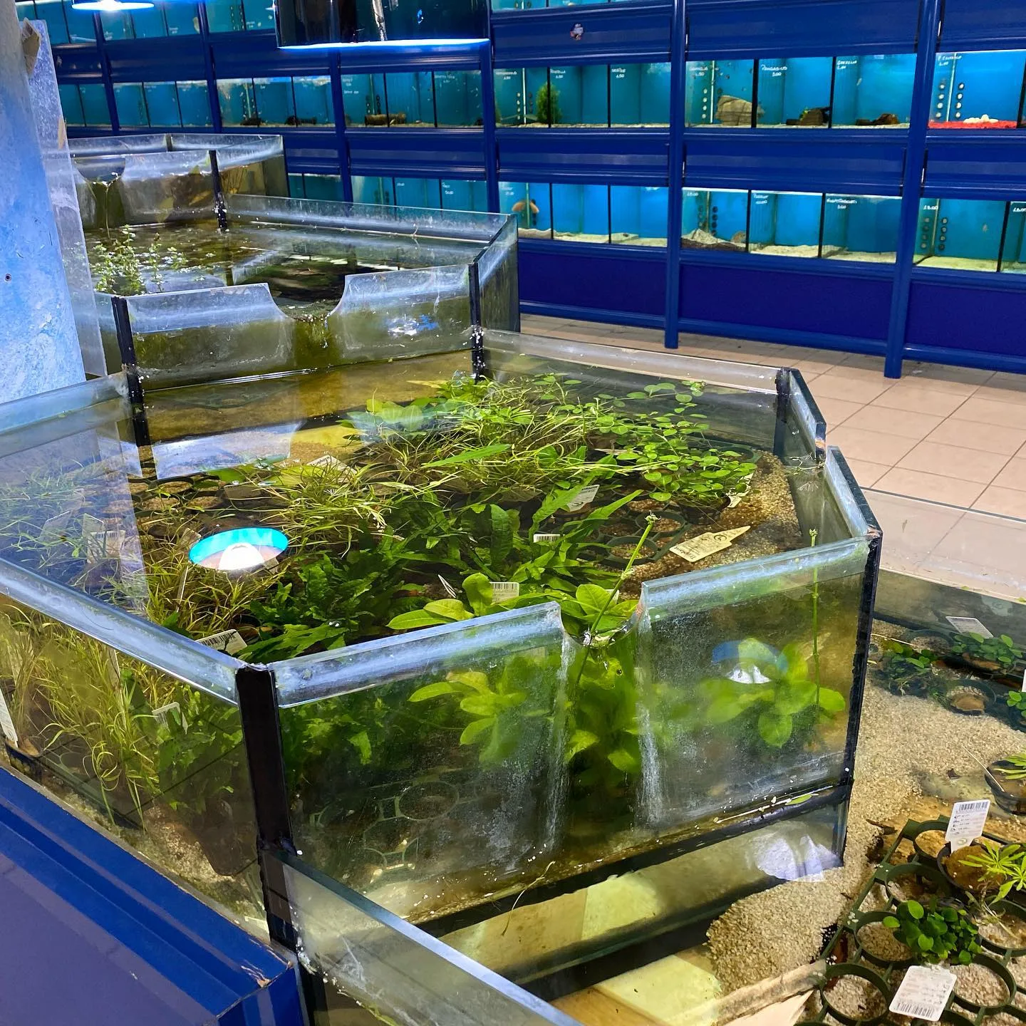 Details at Grande Acquario Club Palermo — travel photo