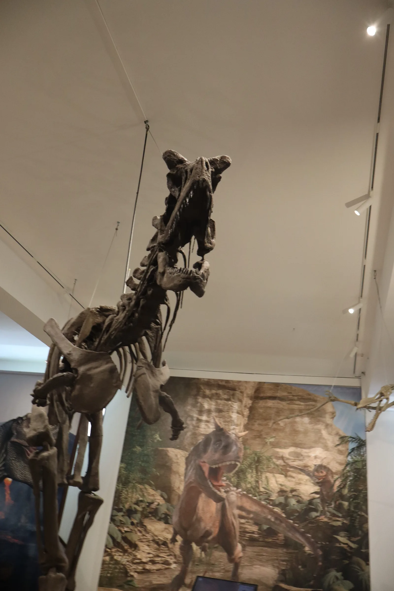 Main view at Museum of Geology "G. G. Gemmellaro" Palermo — travel photo