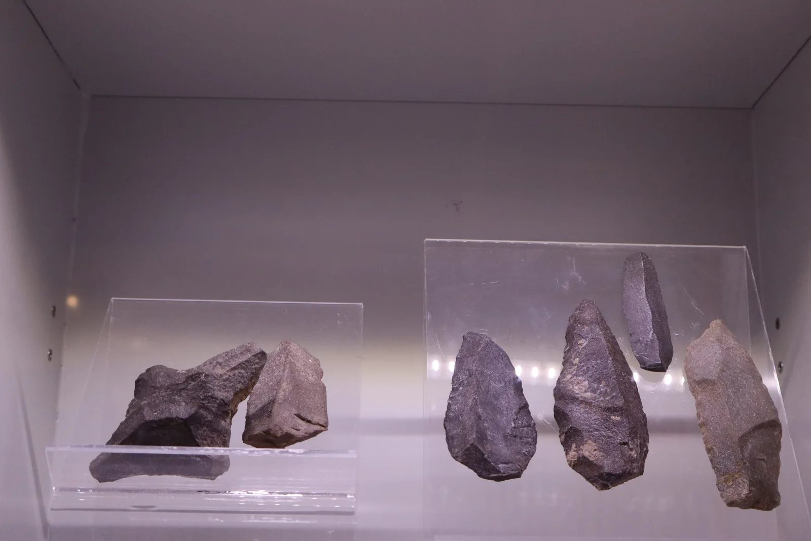 Details at Museum of Geology "G. G. Gemmellaro" Palermo — travel photo