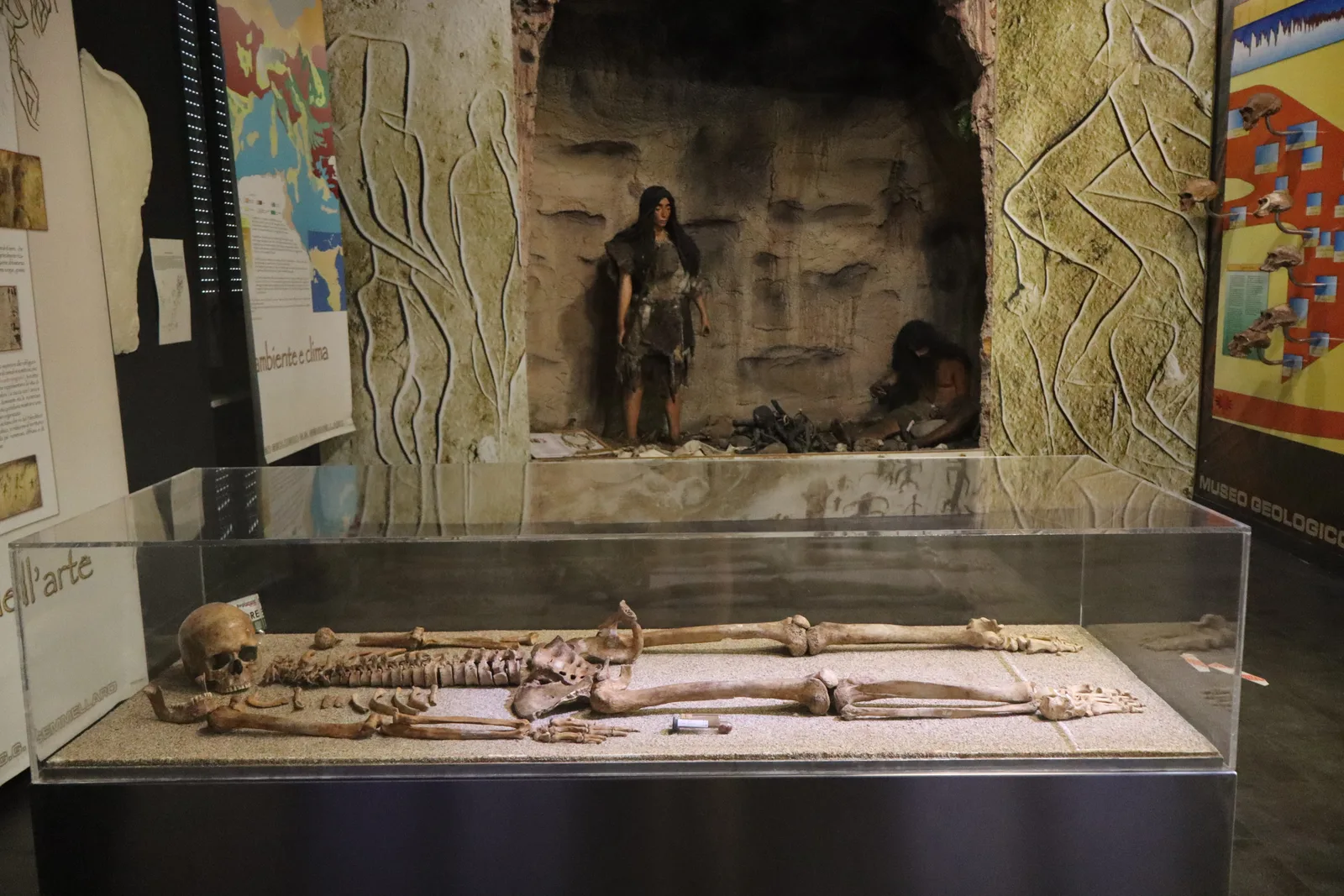 Atmosphere at Museum of Geology "G. G. Gemmellaro" Palermo — travel photo