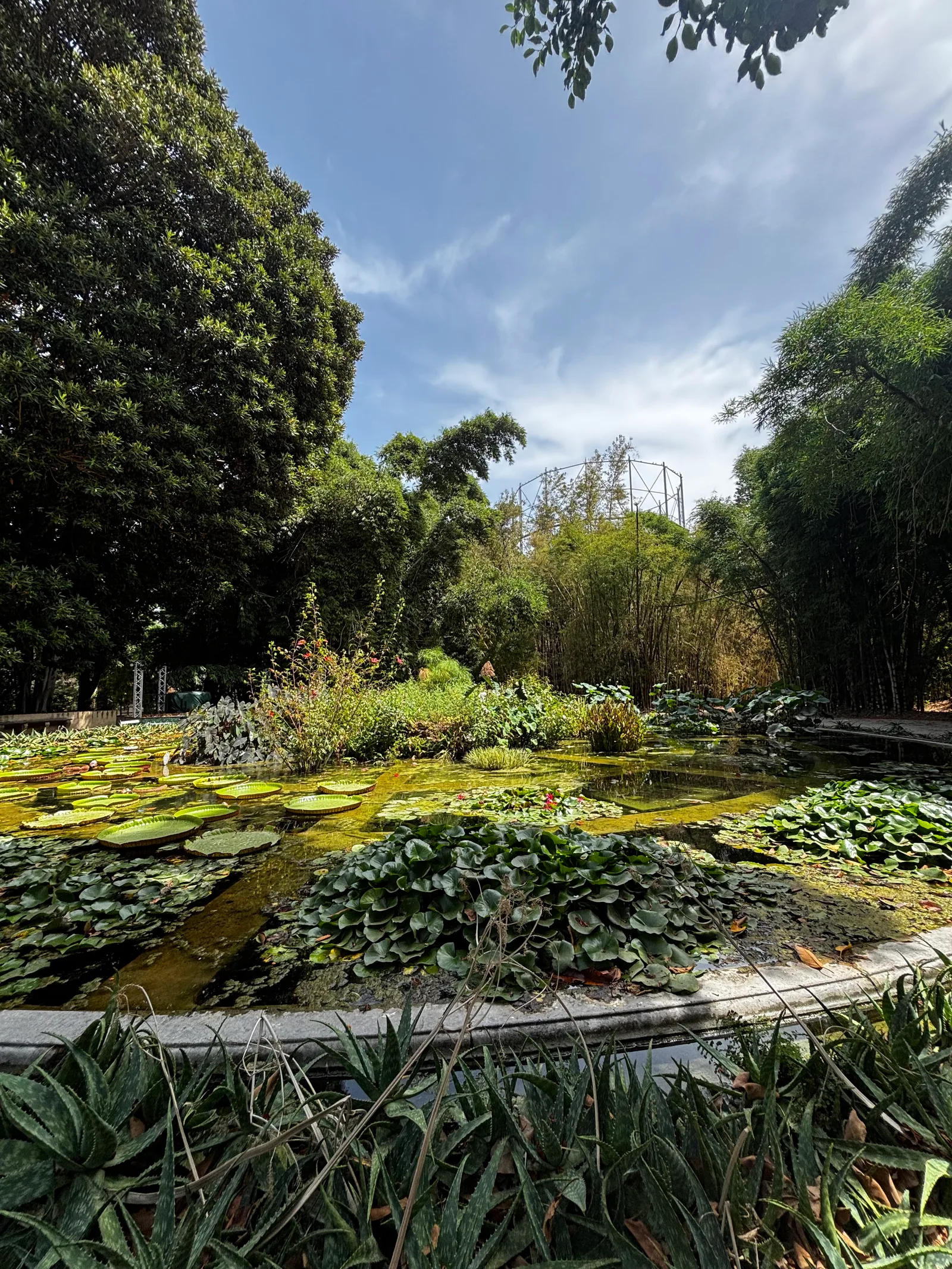 Main view at Orto Botanico di Palermo Palermo — travel photo