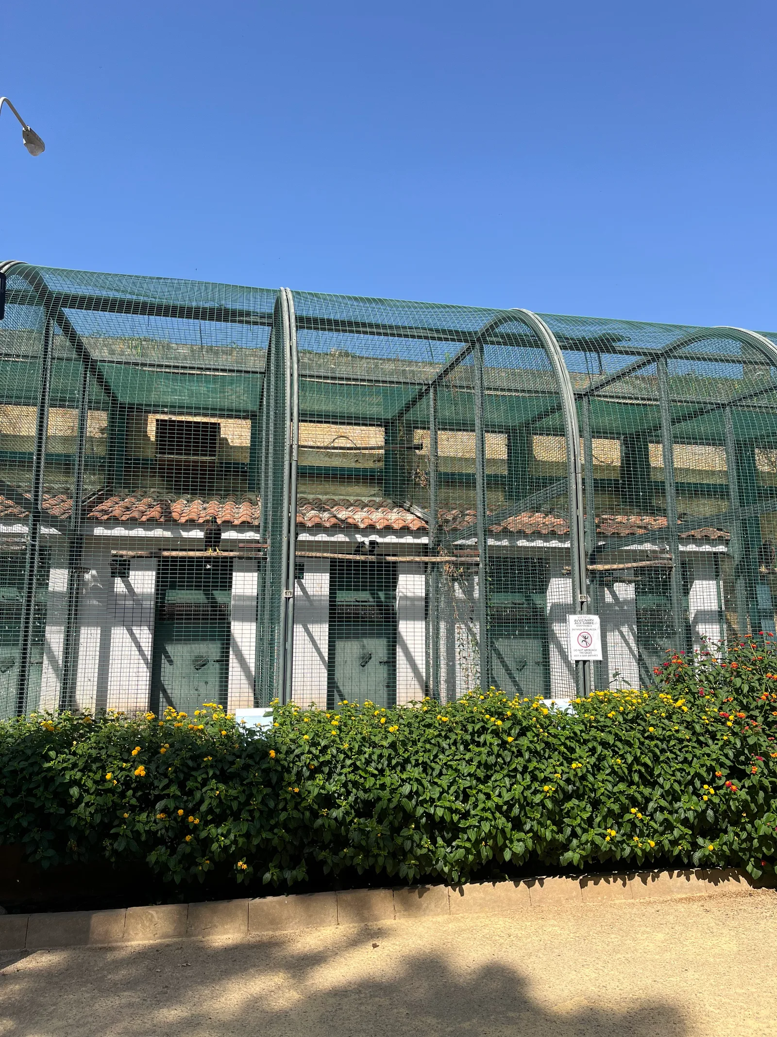 Atmosphere at Parco d'Orleans Palermo — travel photo