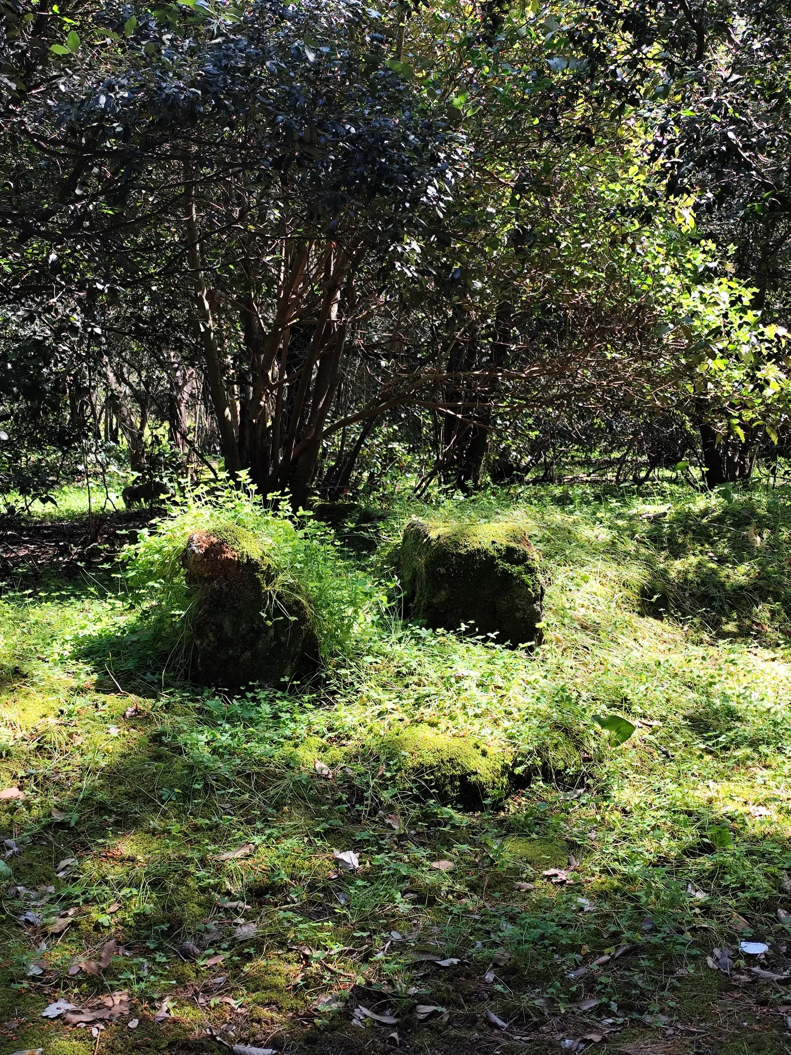 Interior at Parco della Favorita Palermo — travel photo