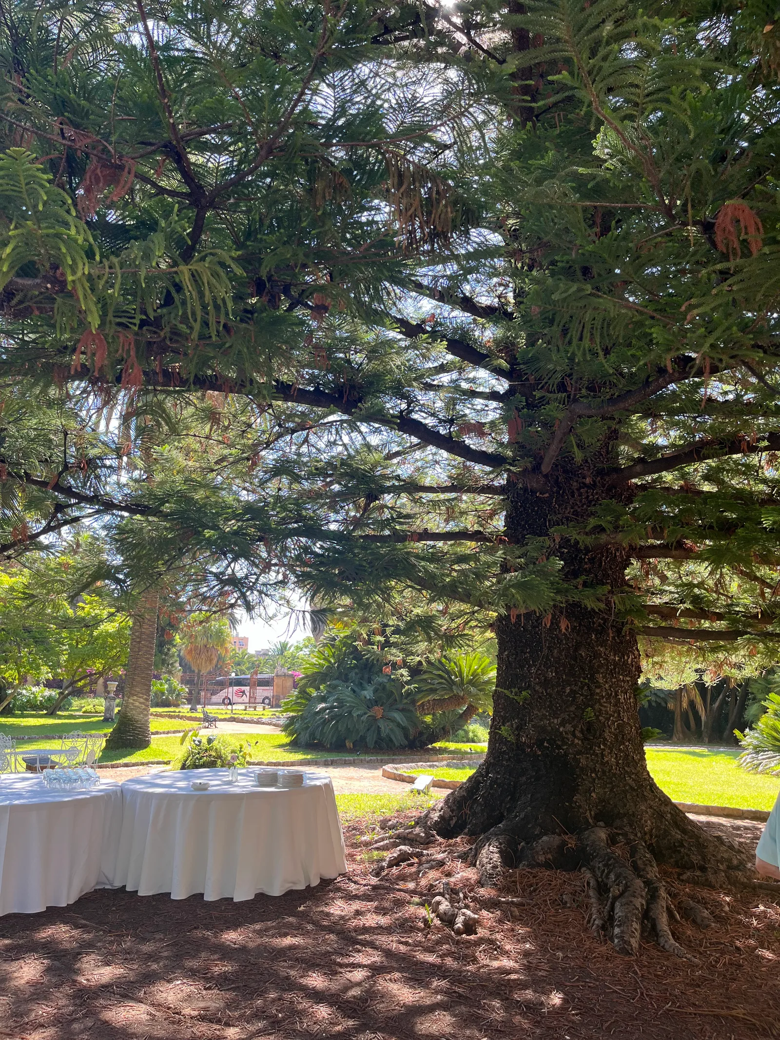 Atmosphere at Parco di Villa Tasca Palermo — travel photo