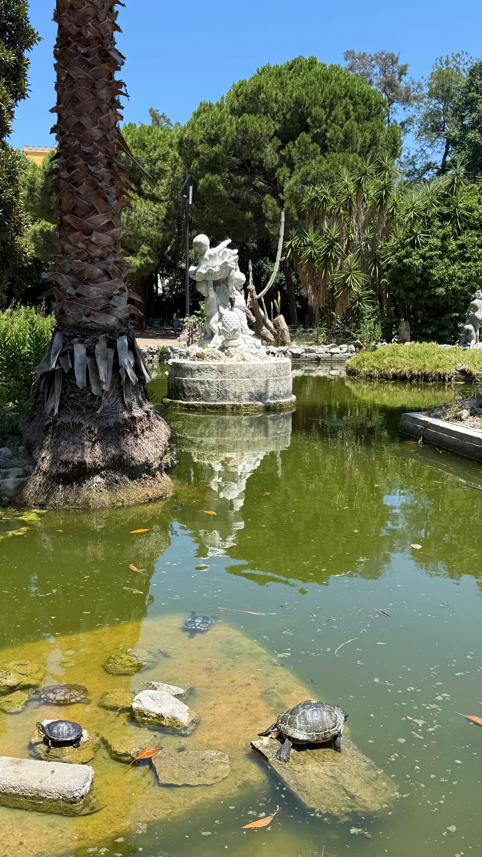 Atmosphere at Parco Piersanti Mattarella (Giardino Inglese) Palermo — travel photo