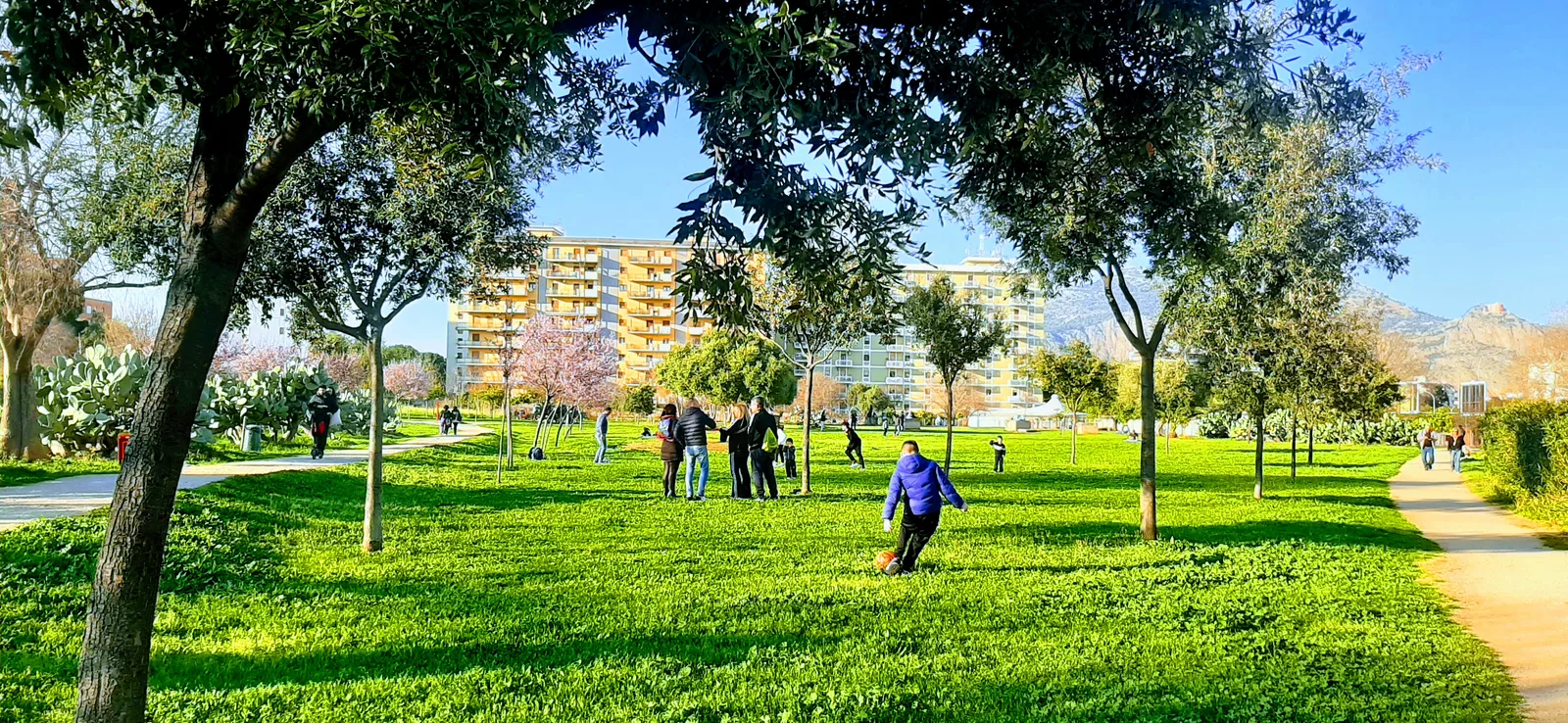 Main view at Parco Uditore Palermo — travel photo