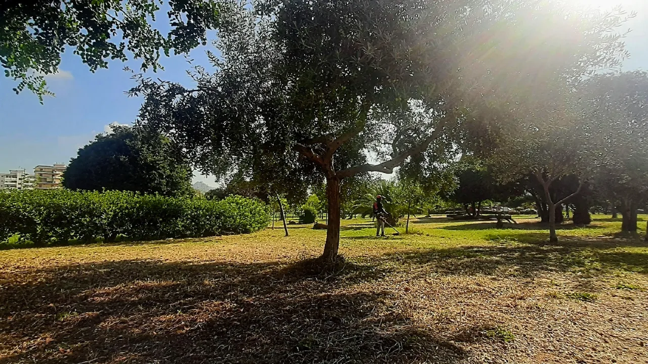 Parco Uditore