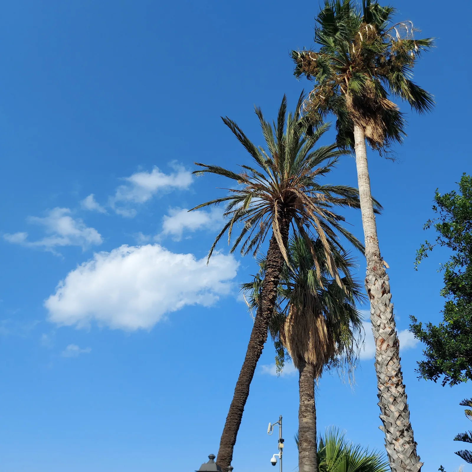 Details at Parco Villa Turrisi Palermo — travel photo