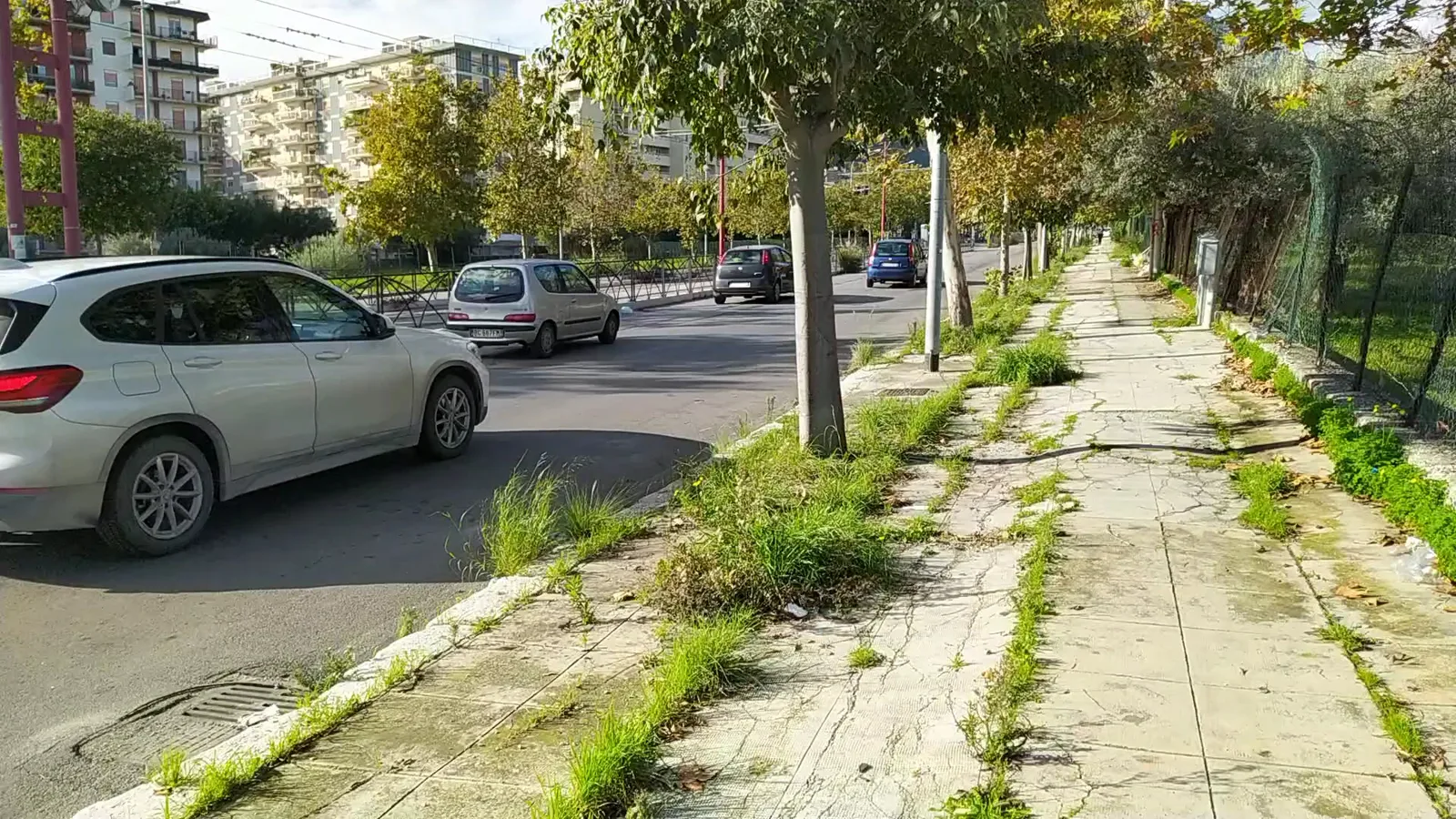 Atmosphere at Parco Villa Turrisi Palermo — travel photo