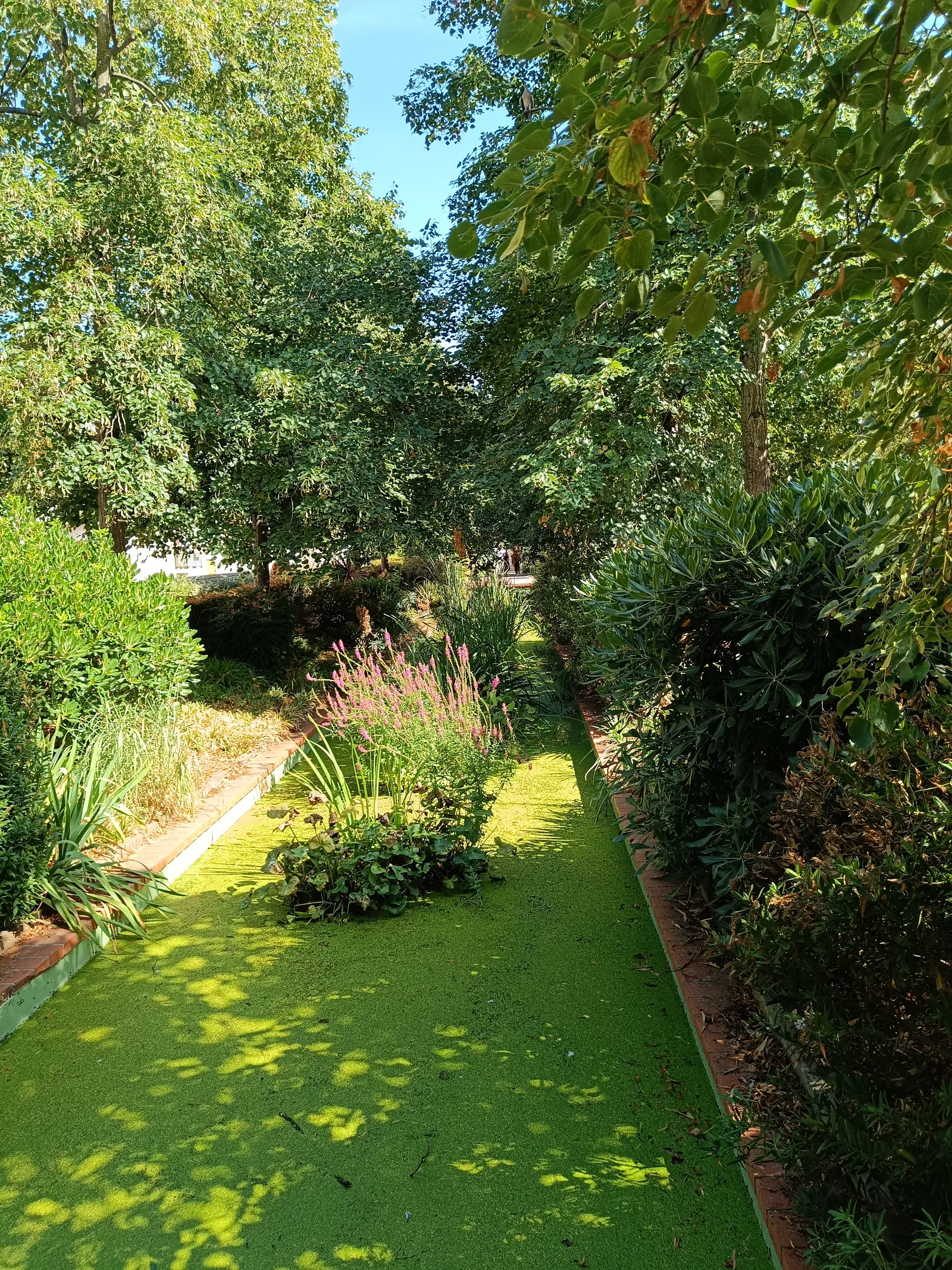 Main view at Coulée Verte René-Dumont Paris — travel photo