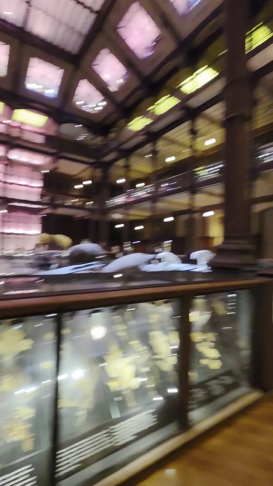 Atmosphere at Gallery of Evolution Paris — travel photo