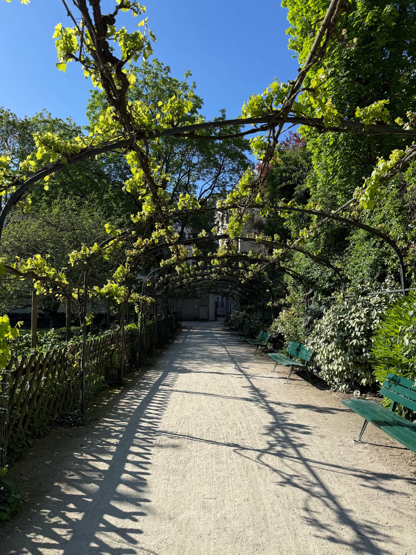 Atmosphere at Jardin Catherine-Labouré Paris — travel photo