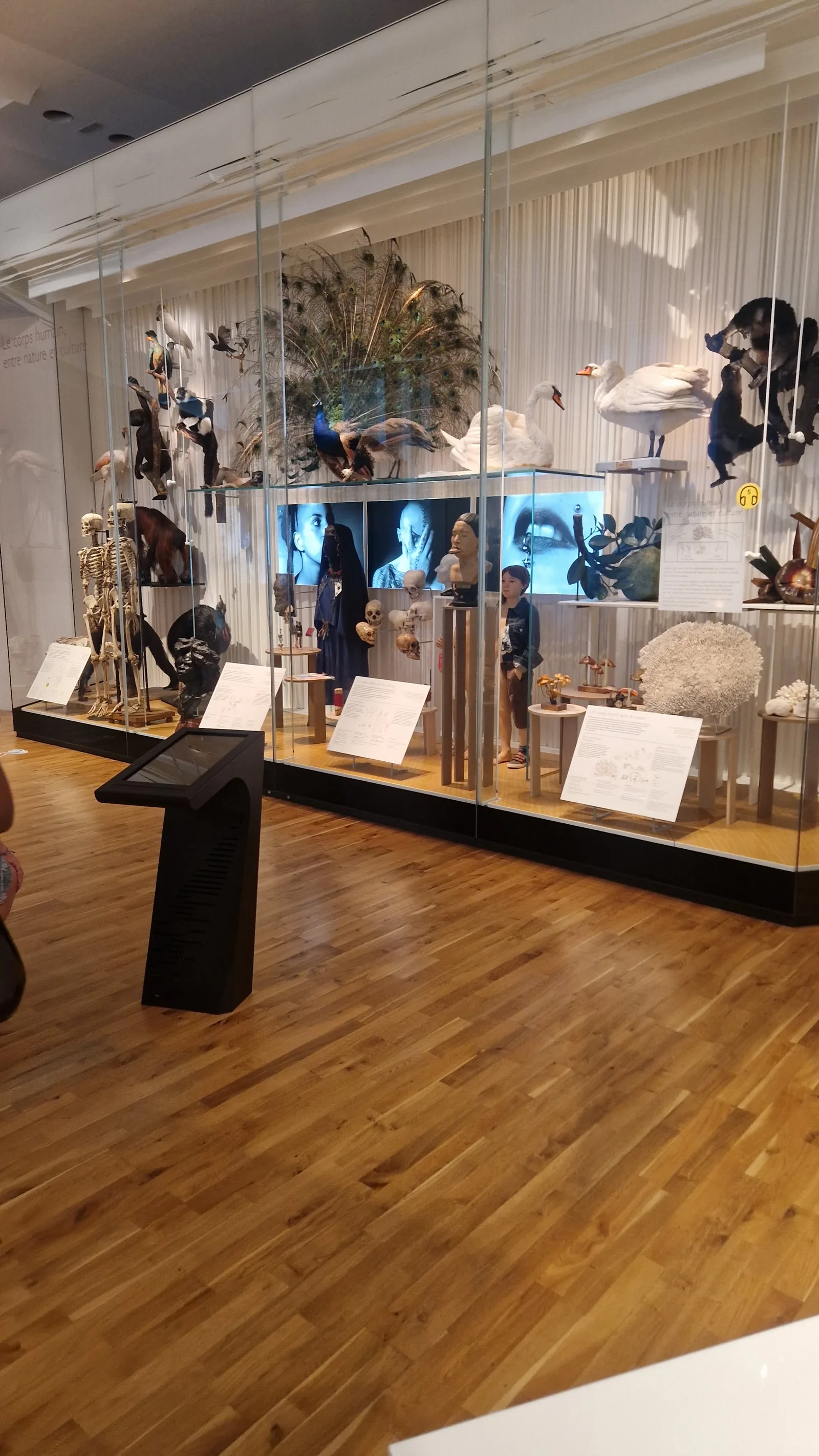 Main view at Musée de l'Homme Paris — travel photo