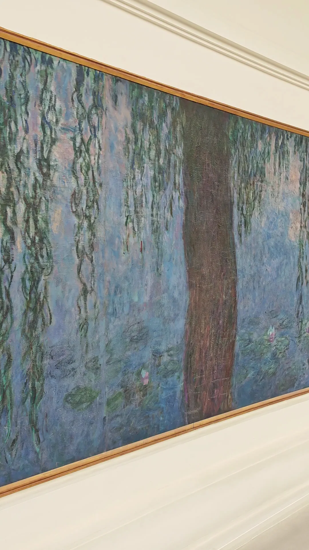 Main view at Musée de l'Orangerie Paris — travel photo