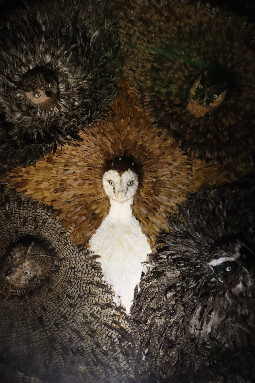 Details at Musée de la Chasse et de la Nature Paris — travel photo