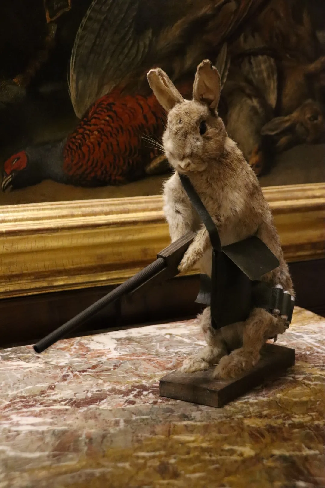 Atmosphere at Musée de la Chasse et de la Nature Paris — travel photo