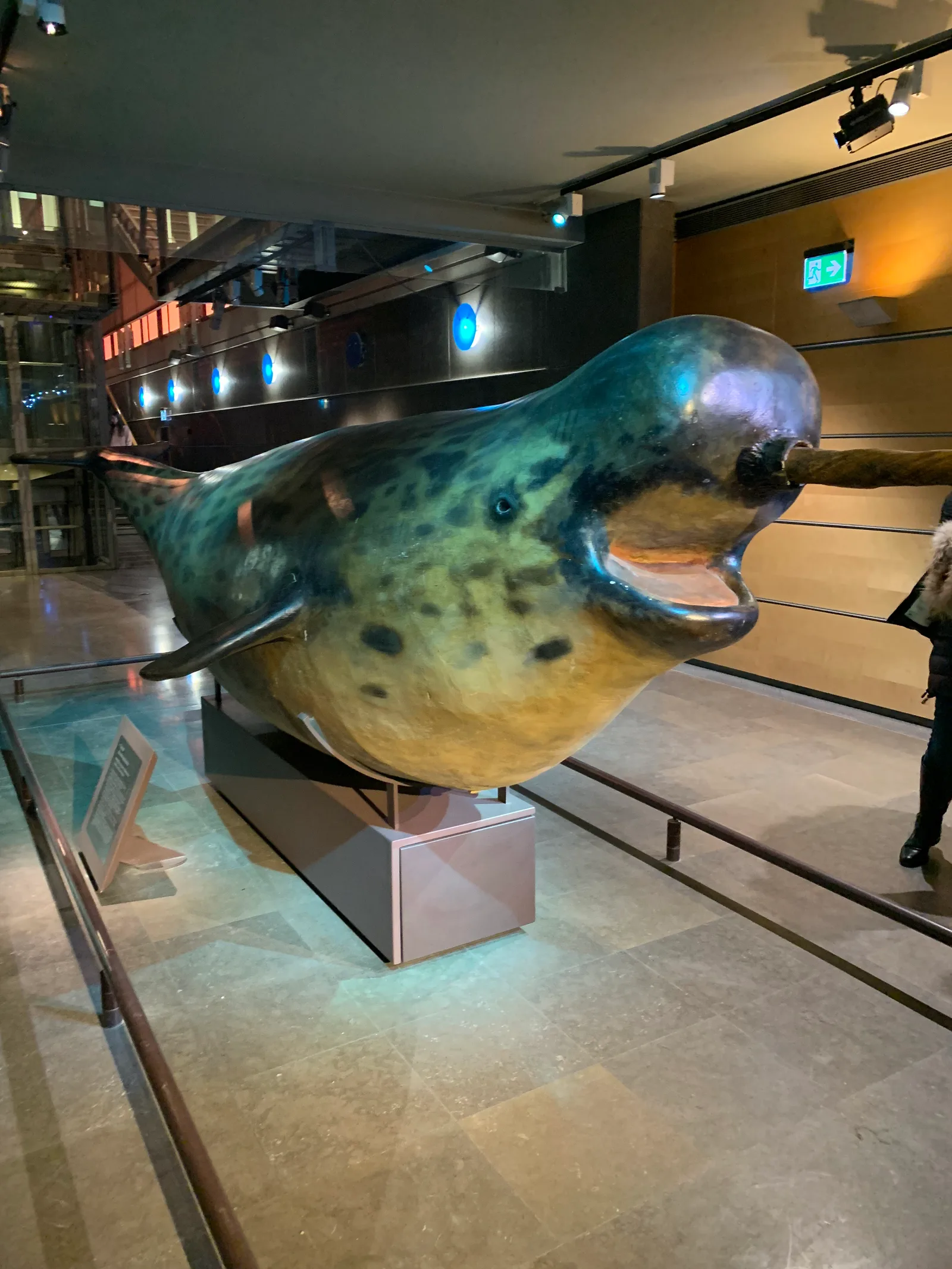 Interior at National Museum of Natural History Paris — travel photo