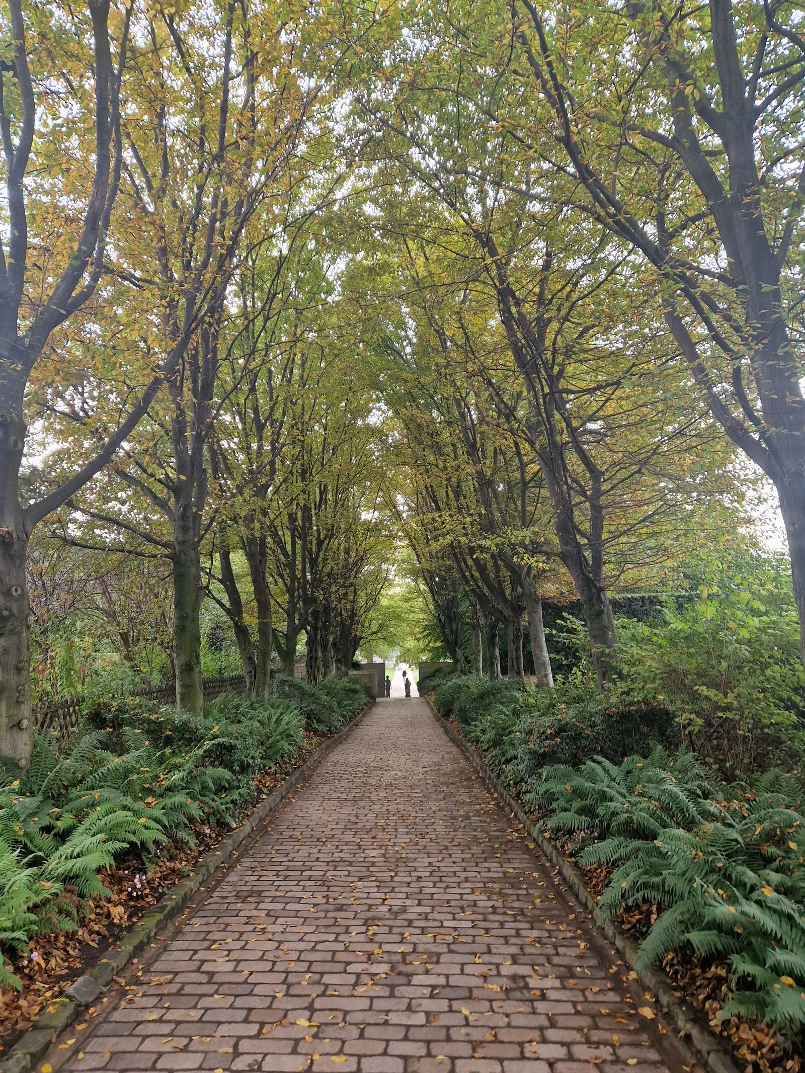 Atmosphere at Parc André Citroën Paris — travel photo