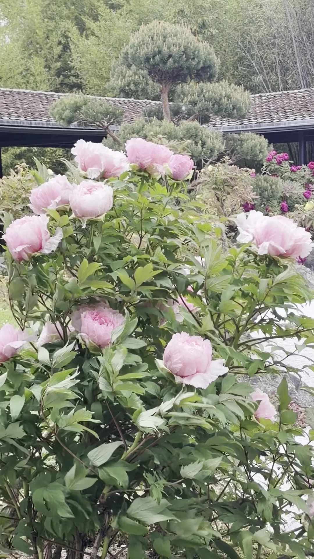 Interior at Parc Floral de Paris Paris — travel photo