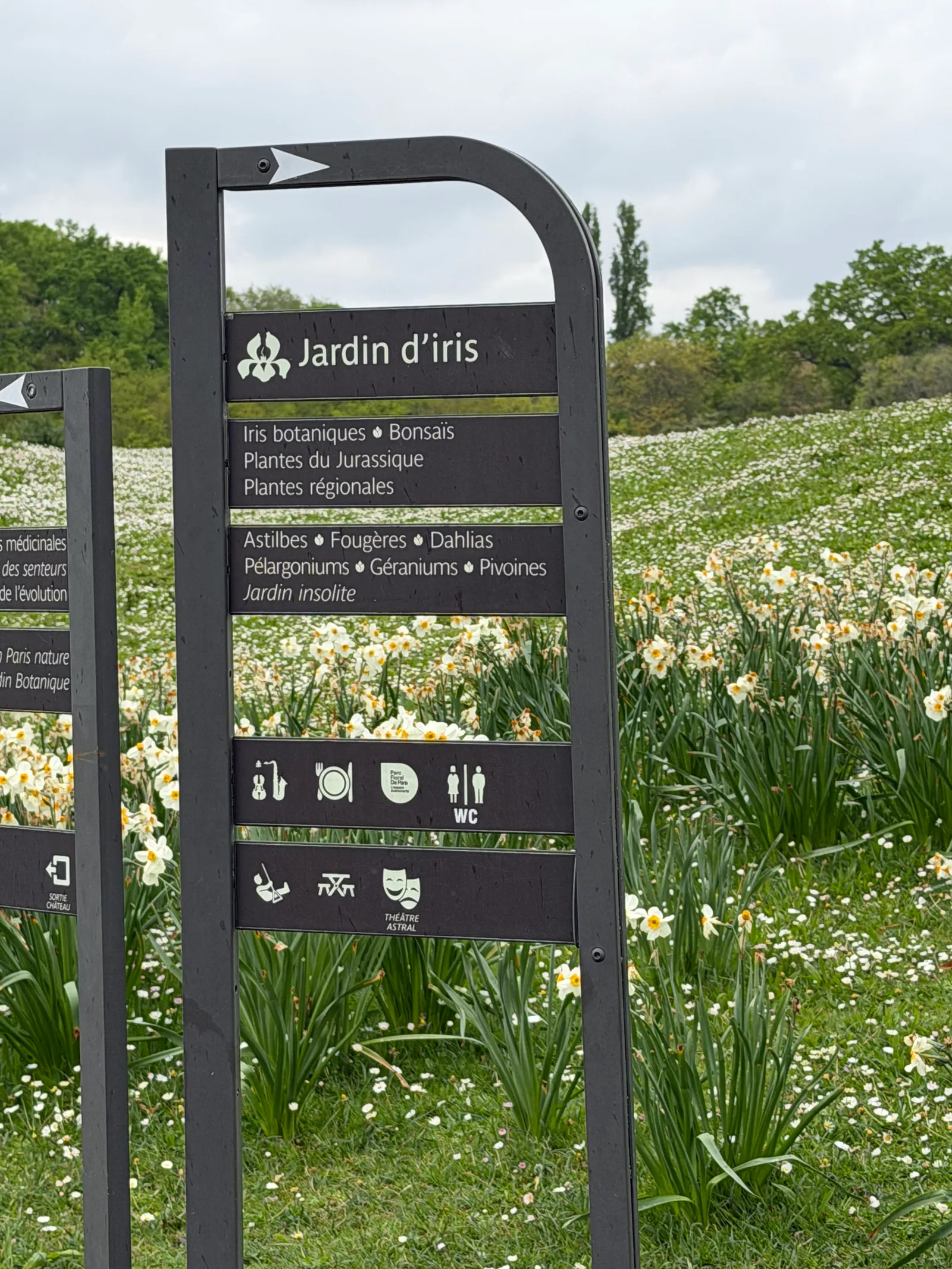 Atmosphere at Parc Floral de Paris Paris — travel photo