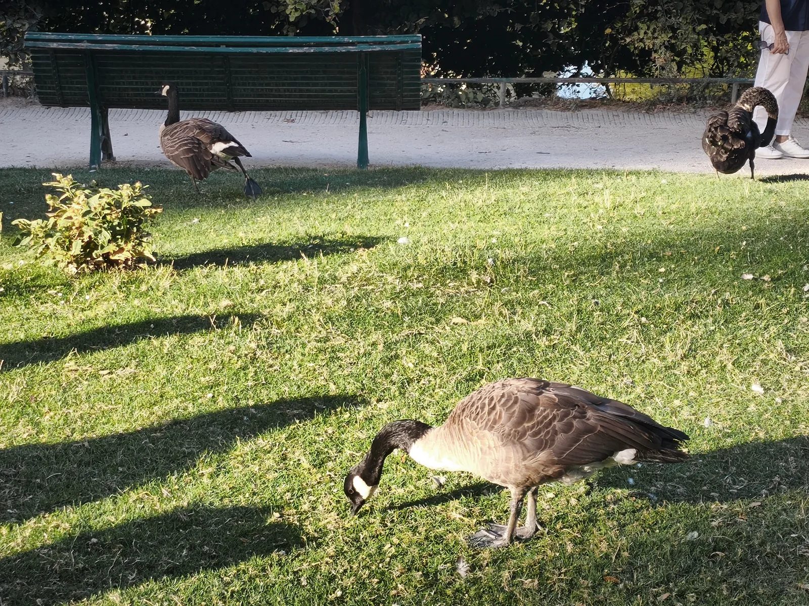 Main view at Parc Montsouris Paris — travel photo