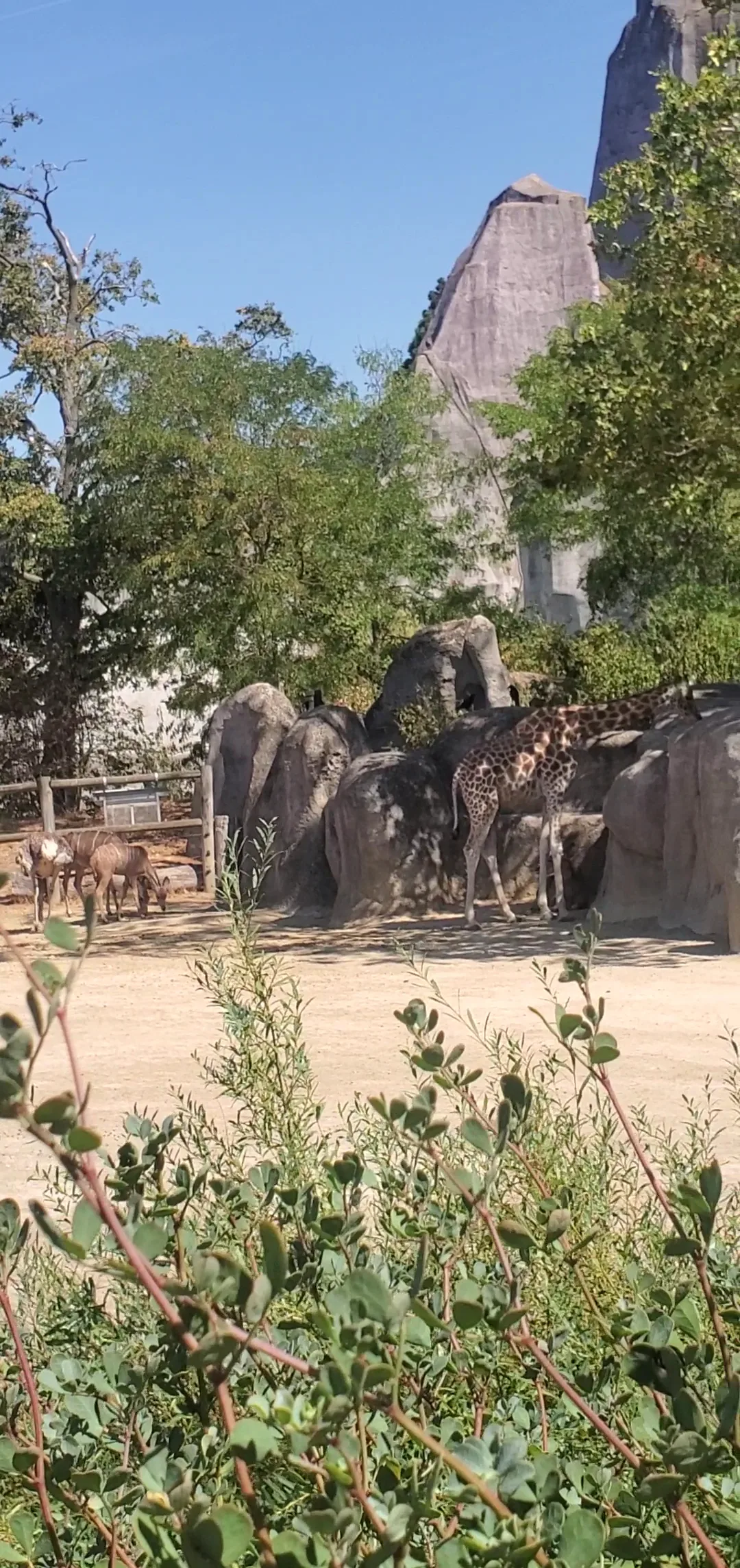 Main view at Parc zoologique de Paris Paris — travel photo