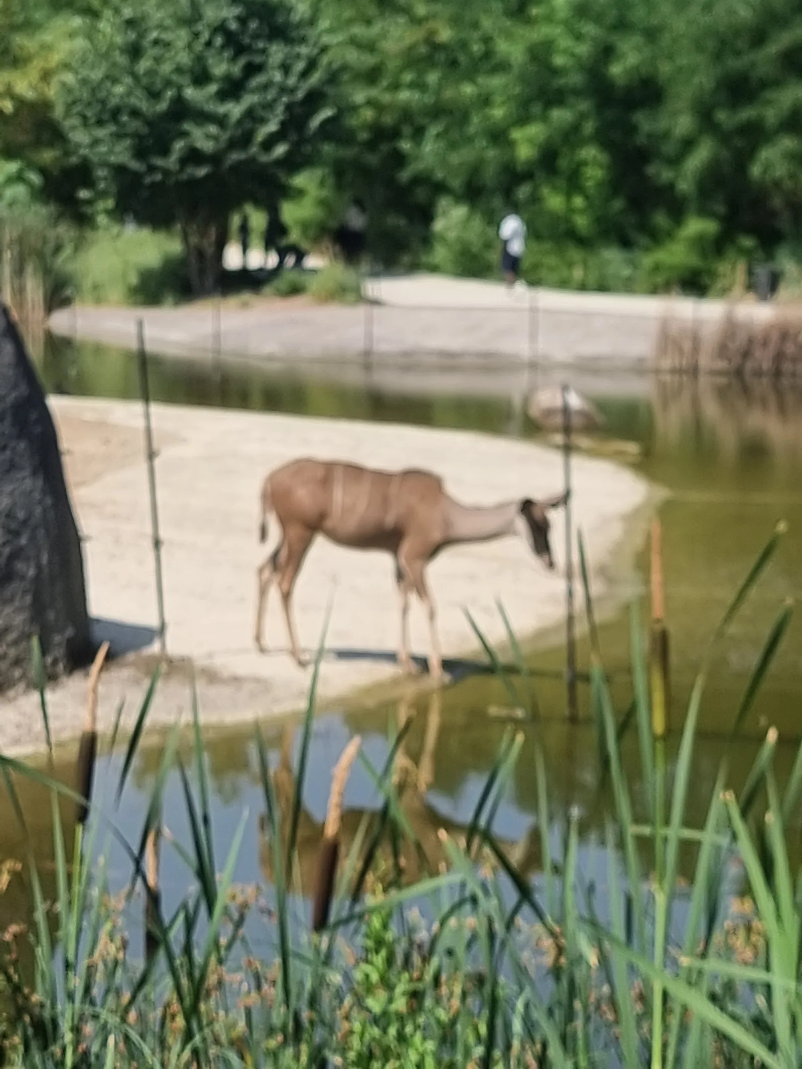 Atmosphere at Parc zoologique de Paris Paris — travel photo