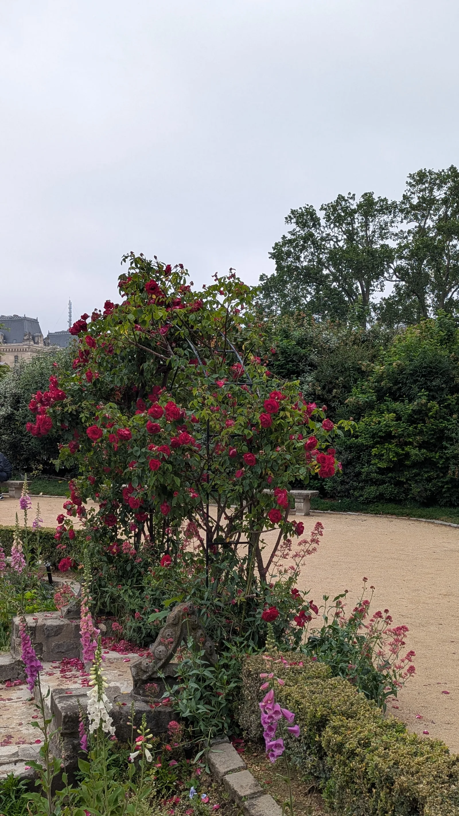 Details at Square René Viviani Paris — travel photo