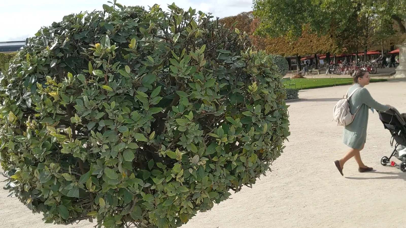 Atmosphere at Tuileries Garden Paris — travel photo